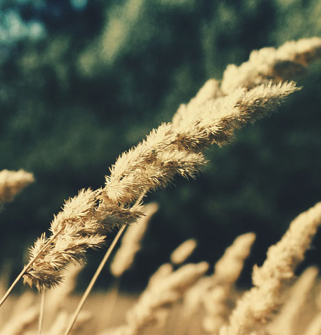 会员网站便捷的ddos压力测试平台